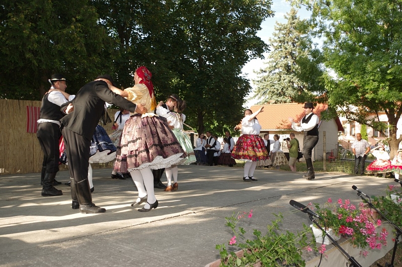 LEVI2749 (Medium).JPG